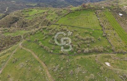 ALİAĞA KÖRFEZİ MANZARALI, ÖZEL KONUM, 15.280 M² YATIRIMLIK TARLA