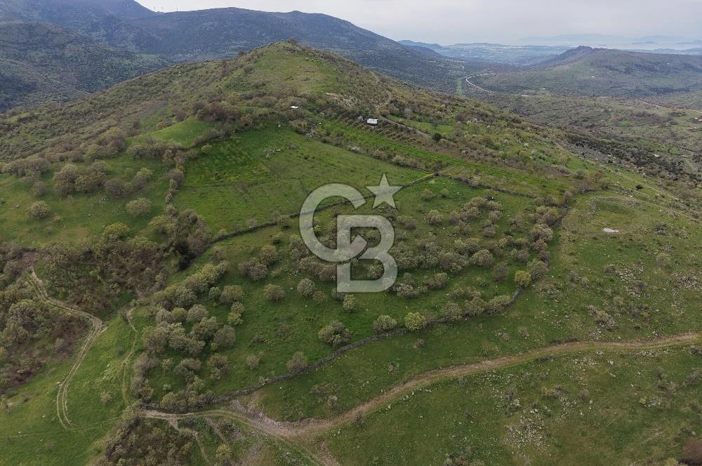 ALİAĞA KÖRFEZİ MANZARALI, ÖZEL KONUM, 15.280 M² YATIRIMLIK TARLA
