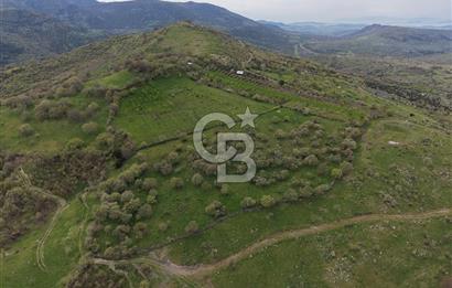 ALİAĞA KÖRFEZİ MANZARALI, ÖZEL KONUM, 15.280 M² YATIRIMLIK TARLA