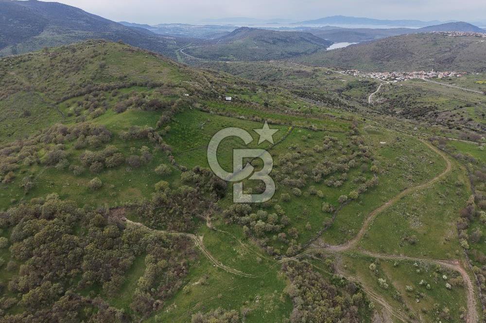 ALİAĞA KÖRFEZİ MANZARALI, ÖZEL KONUM, 15.280 M² YATIRIMLIK TARLA
