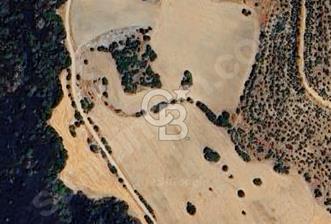 MANİSA KULA DA 26000 M2 VERİMLİ TARLA - ÇİFTLİK VE TARIMA UYGUN - 11 - 344192