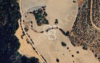 MANİSA KULA DA 26000 M2 VERİMLİ TARLA - ÇİFTLİK VE TARIMA UYGUN