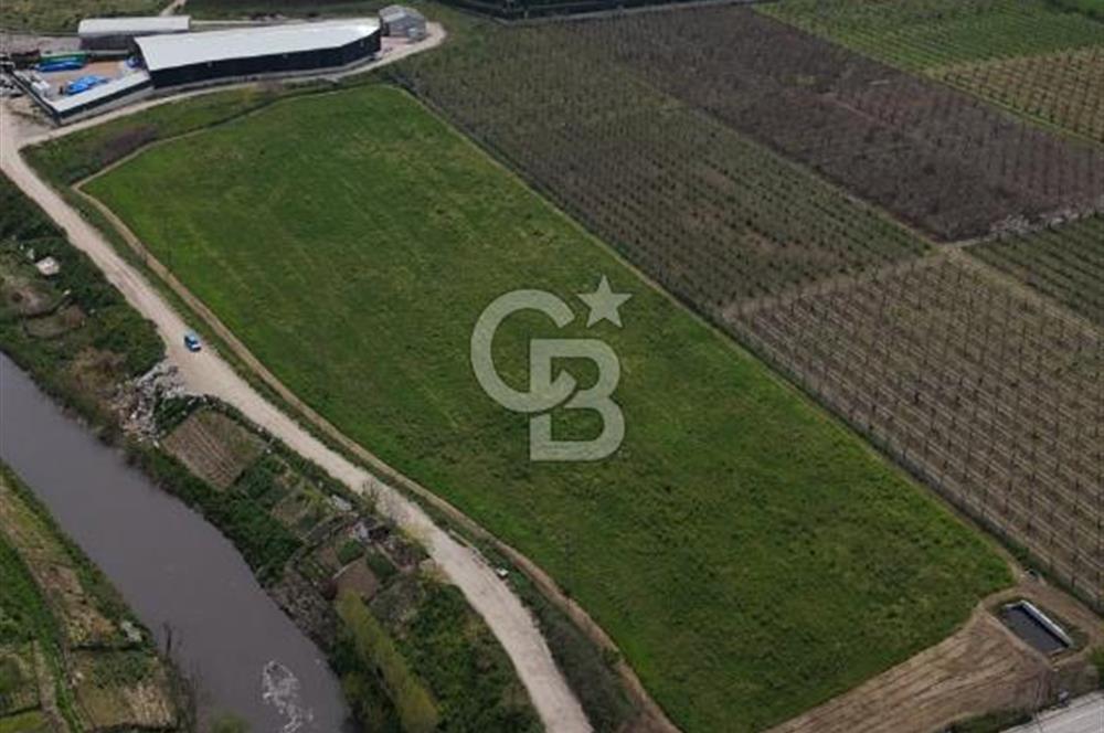 Bursa Osmangazi Yeniceabatta Değerli Konumda Satılık Tarla