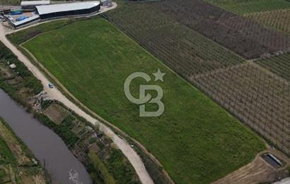 Bursa Osmangazi Yeniceabatta Değerli Konumda Satılık Tarla