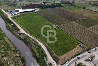 Bursa Osmangazi Yeniceabatta Değerli Konumda Satılık Tarla - 1 - 344186