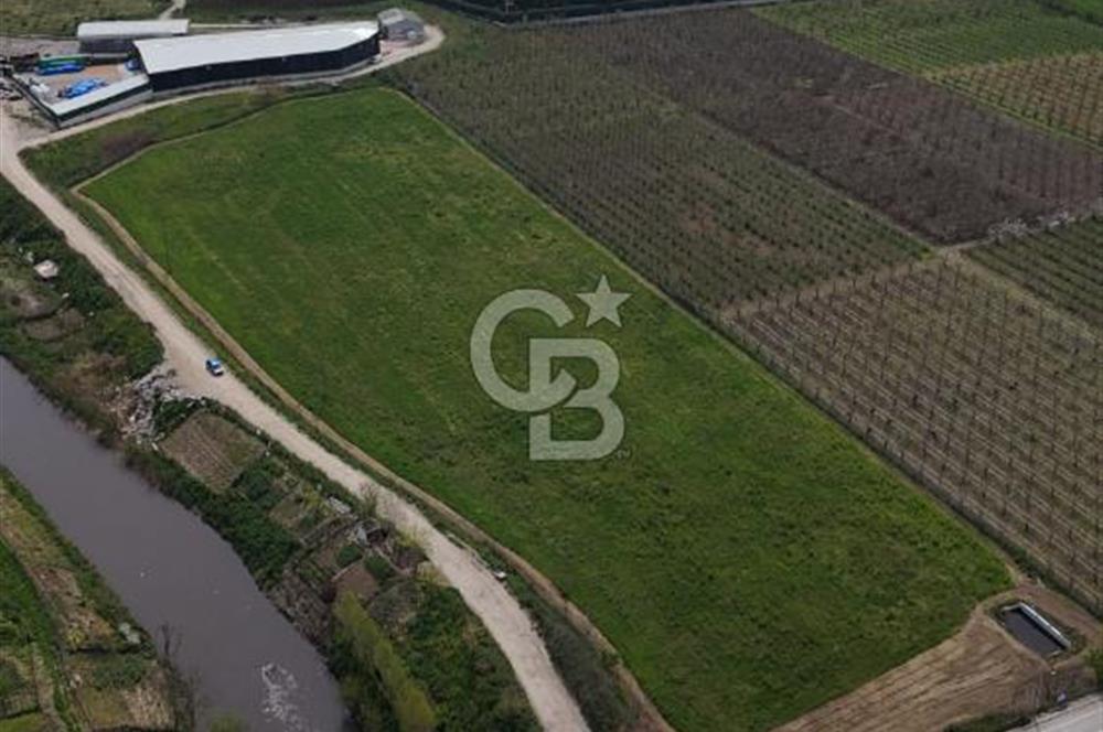 Bursa Osmangazi Yeniceabatta Değerli Konumda Satılık Tarla