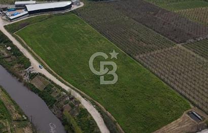 Bursa Osmangazi Yeniceabatta Değerli Konumda Satılık Tarla