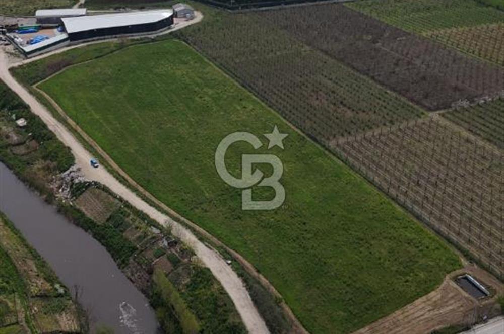 Bursa Osmangazi Yeniceabatta Değerli Konumda Satılık Tarla