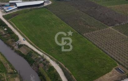 Bursa Osmangazi Yeniceabatta Değerli Konumda Satılık Tarla