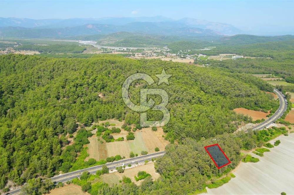 Muğla Ula Sarayyanı'nda Satılık Yatırımlık Tarla