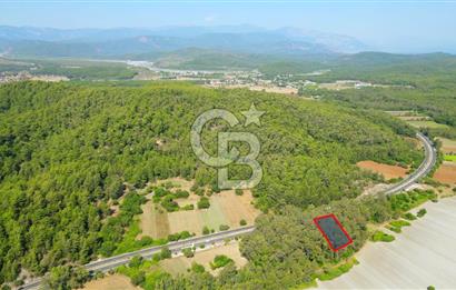 Muğla Ula Sarayyanı'nda Satılık Yatırımlık Tarla