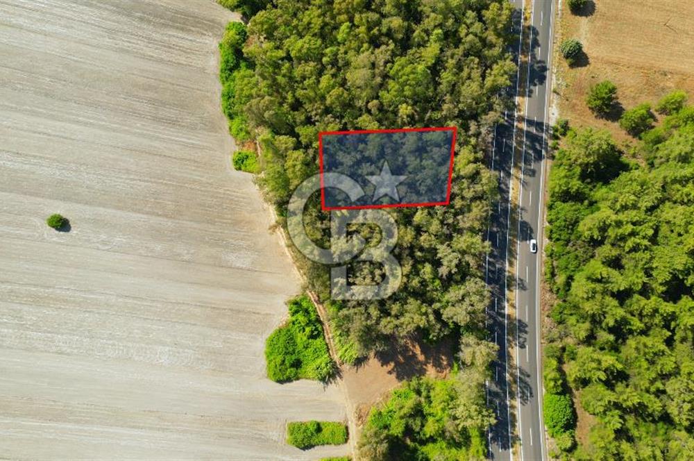 Muğla Ula Sarayyanı'nda Satılık Yatırımlık Tarla