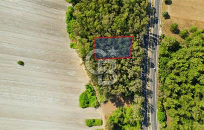 Muğla Ula Sarayyanı'nda Satılık Yatırımlık Tarla