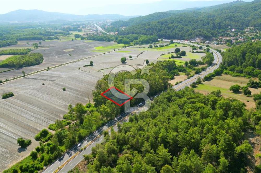 Muğla Ula Sarayyanı'nda Satılık Yatırımlık Tarla