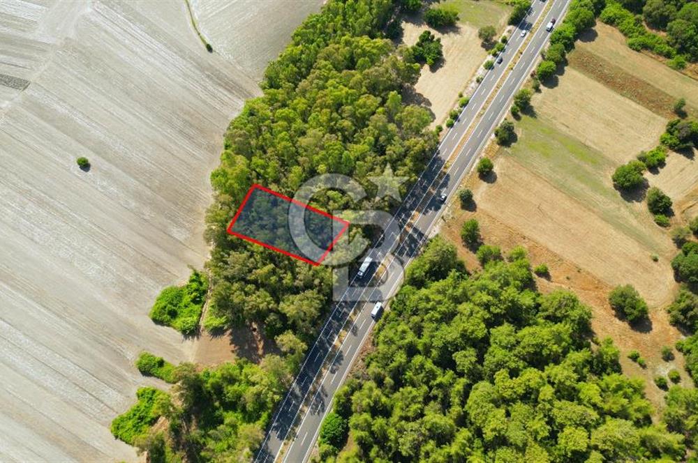 Muğla Ula Sarayyanı'nda Satılık Yatırımlık Tarla