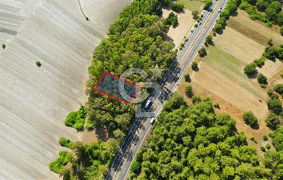 Muğla Ula Sarayyanı'nda Satılık Yatırımlık Tarla