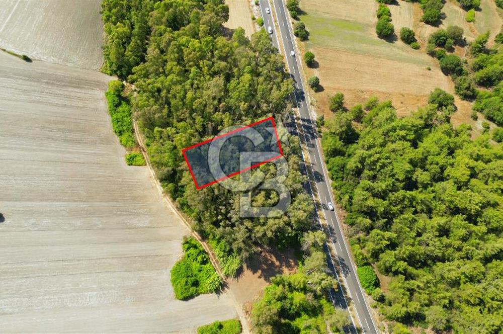 Muğla Ula Sarayyanı'nda Satılık Yatırımlık Tarla