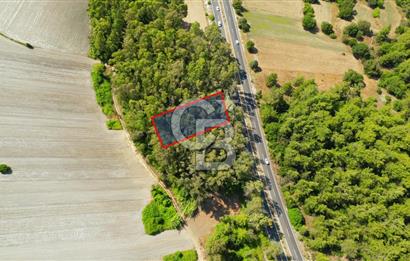 Muğla Ula Sarayyanı'nda Satılık Yatırımlık Tarla