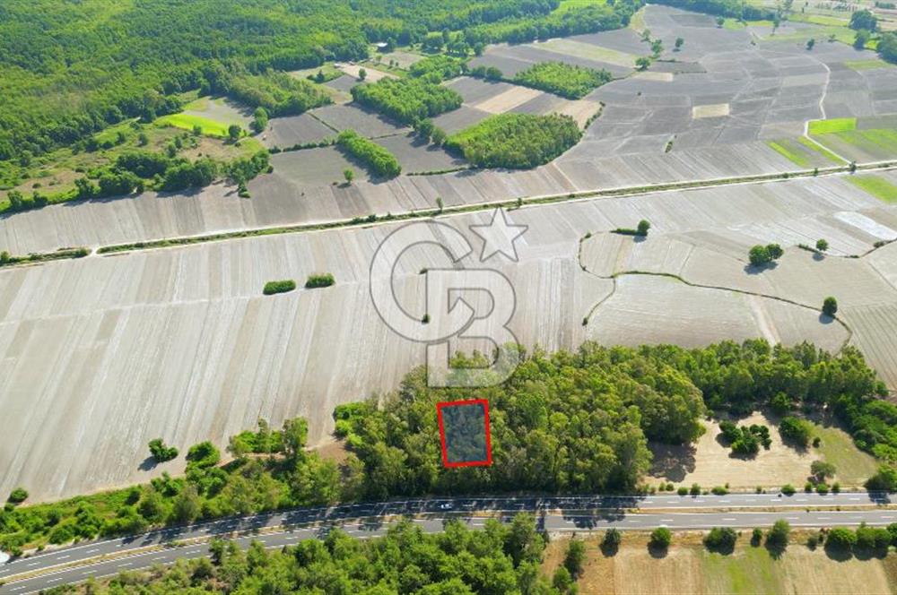 Muğla Ula Sarayyanı'nda Satılık Yatırımlık Tarla