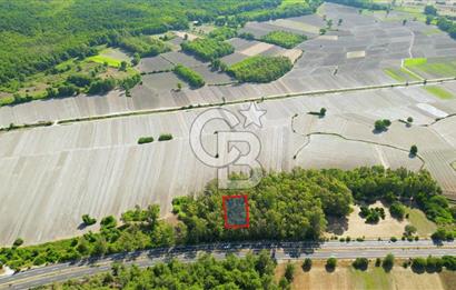 Muğla Ula Sarayyanı'nda Satılık Yatırımlık Tarla