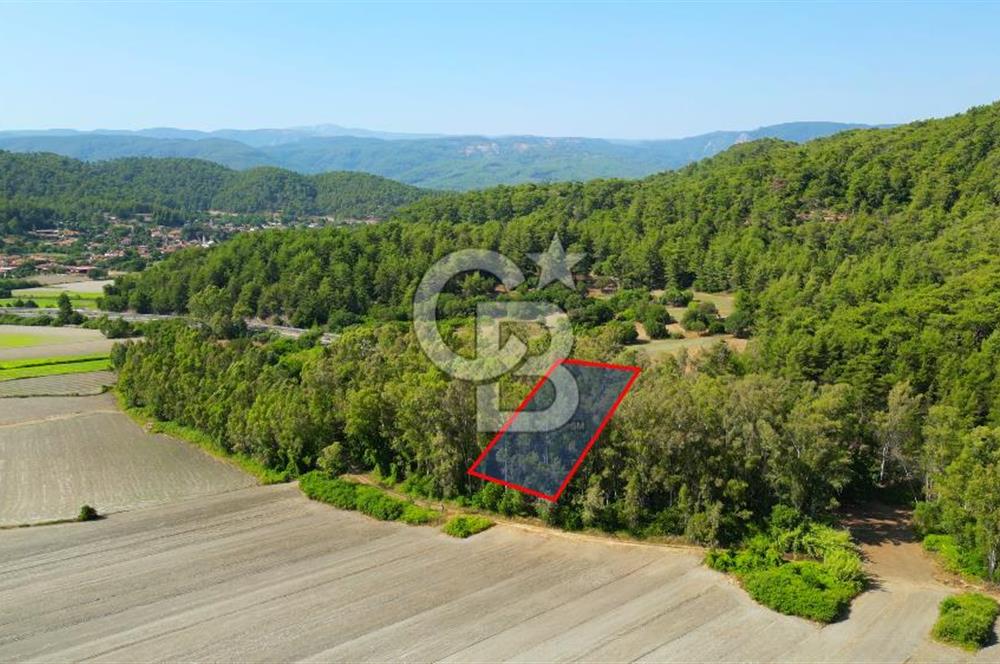 Muğla Ula Sarayyanı'nda Satılık Yatırımlık Tarla