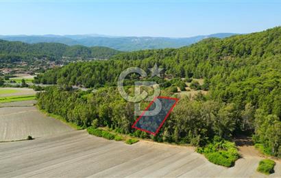 Muğla Ula Sarayyanı'nda Satılık Yatırımlık Tarla