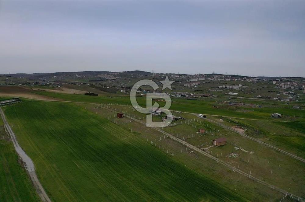 ARNAVUTKÖY HARAÇÇI'DA SATILIK ÇAPLI ÇEVRİLİ 300 METRE ARSA