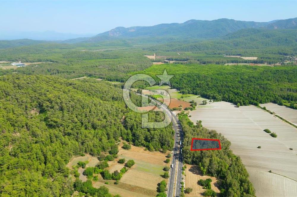 Muğla Ula Sarayyanı'nda Satılık Yatırımlık Tarla