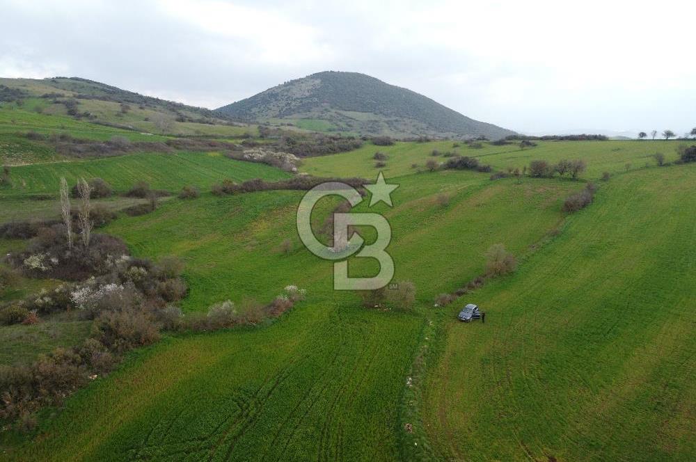 Bigadiç Güvemçetmi'de Satılık 2.950.000 TL Yatırımlık Tarla