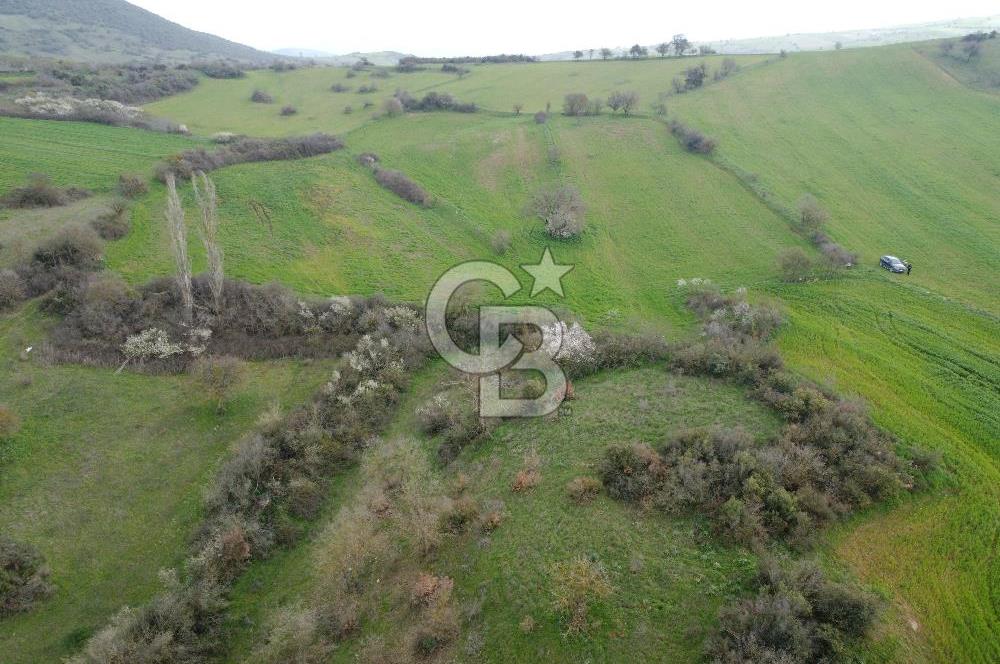 Bigadiç Güvemçetmi'de Satılık 2.950.000 TL Yatırımlık Tarla