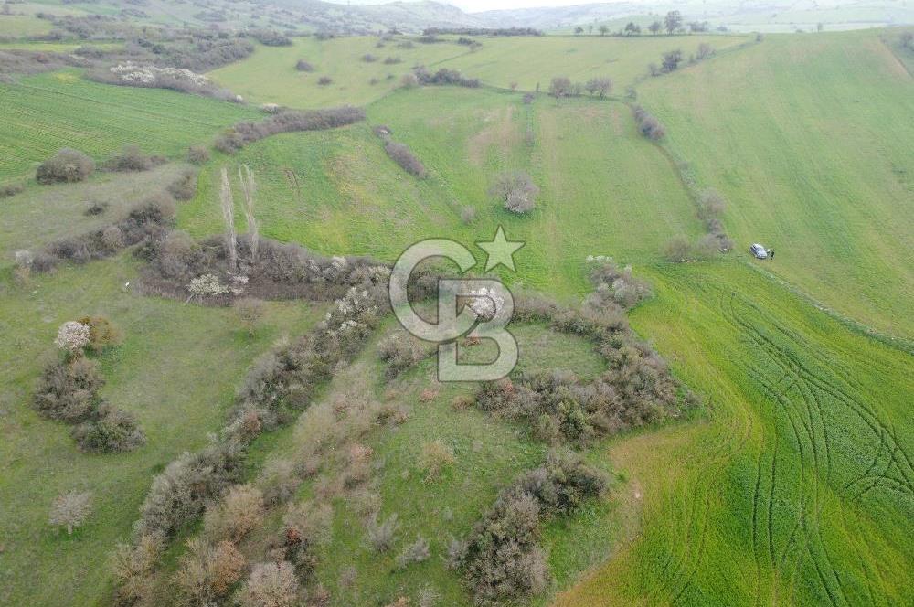 Bigadiç Güvemçetmi'de Satılık 2.950.000 TL Yatırımlık Tarla