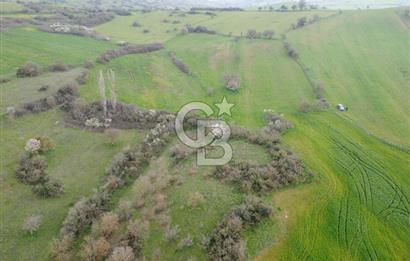 Bigadiç Güvemçetmi'de Satılık 2.950.000 TL Yatırımlık Tarla