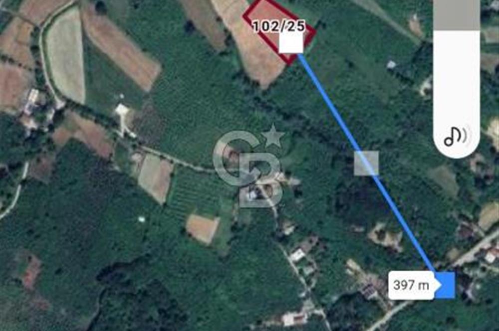 Sakarya Kaynarca Arsa