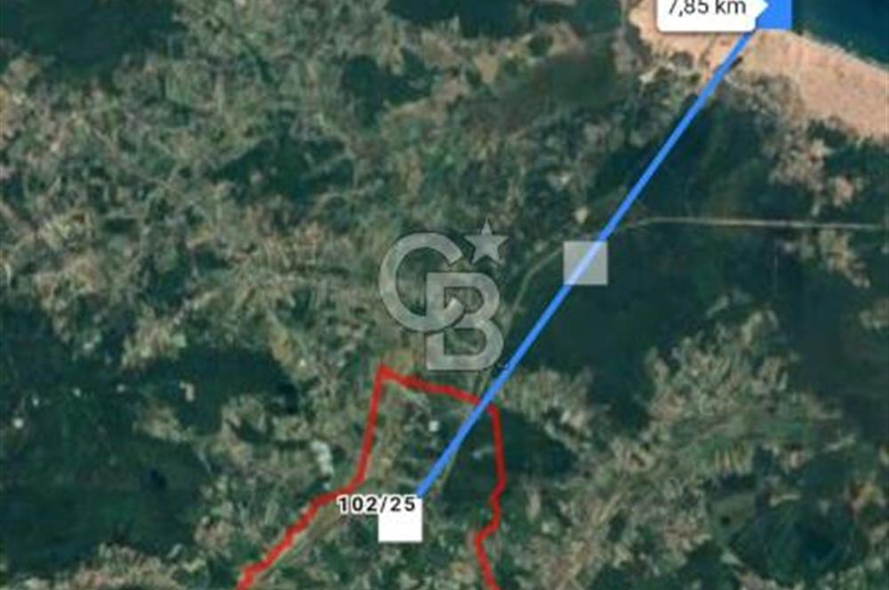 Sakarya Kaynarca Arsa