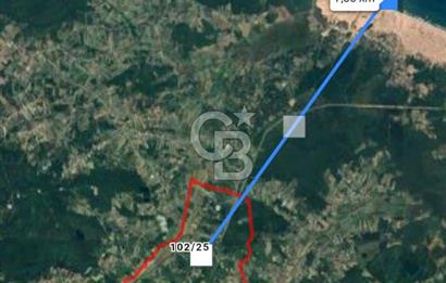 Sakarya Kaynarca Arsa