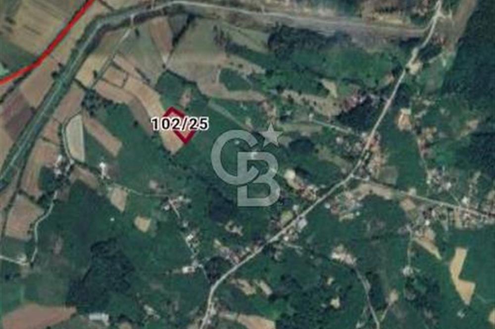 Sakarya Kaynarca Arsa