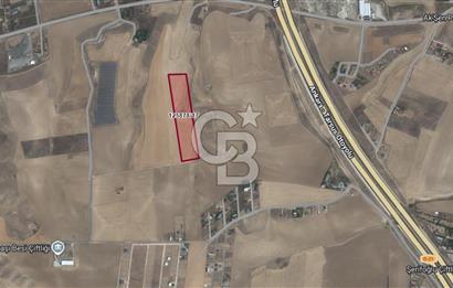 CB VİZYON GÖKHAN KORAL'DAN YAVRUCUKTA SATILIK UYGUN FİYATA HİSSE