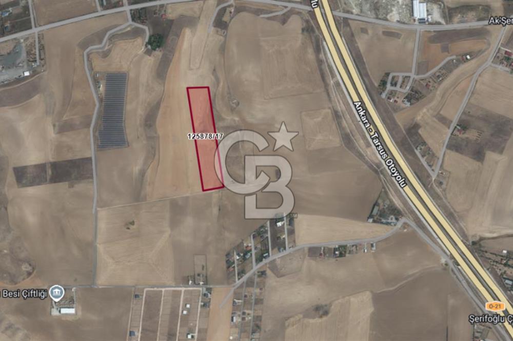 CB VİZYON GÖKHAN KORAL'DAN YAVRUCUKTA SATILIK UYGUN FİYATA HİSSE