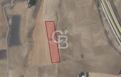 CB VİZYON GÖKHAN KORAL'DAN YAVRUCUKTA SATILIK UYGUN FİYATA HİSSE