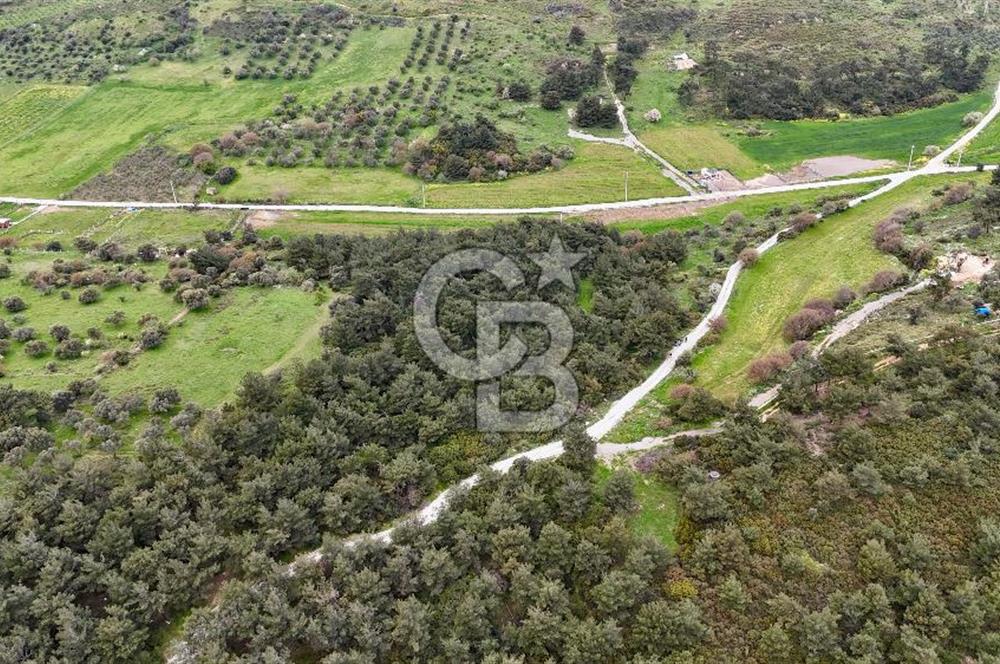 FOÇA YENİKÖY'DE DOĞA İLE İÇ İÇE SATILIK TARLA