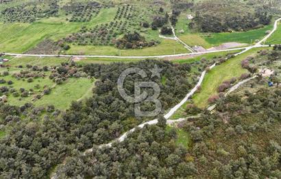 FOÇA YENİKÖY'DE DOĞA İLE İÇ İÇE SATILIK TARLA