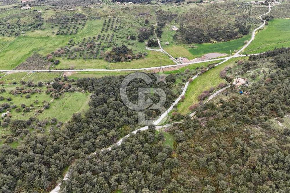 FOÇA YENİKÖY'DE DOĞA İLE İÇ İÇE SATILIK TARLA