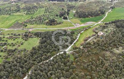 FOÇA YENİKÖY'DE DOĞA İLE İÇ İÇE SATILIK TARLA