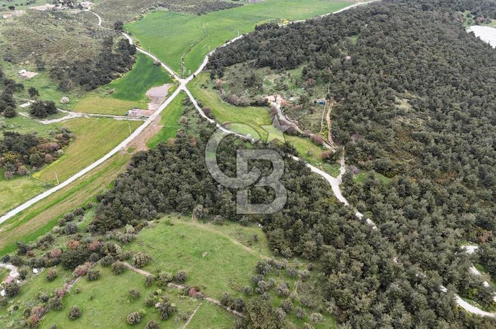 FOÇA YENİKÖY'DE DOĞA İLE İÇ İÇE SATILIK TARLA