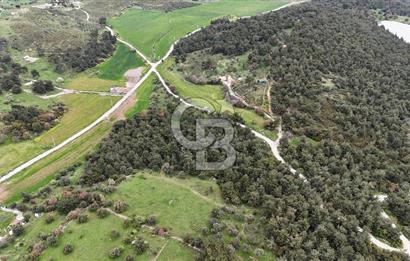 FOÇA YENİKÖY'DE DOĞA İLE İÇ İÇE SATILIK TARLA