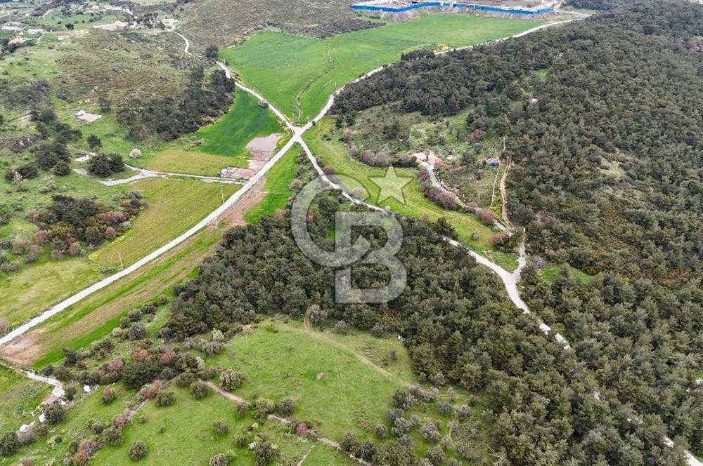 FOÇA YENİKÖY'DE DOĞA İLE İÇ İÇE SATILIK TARLA