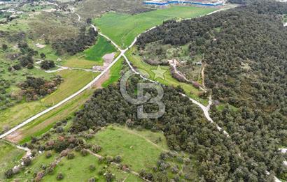 FOÇA YENİKÖY'DE DOĞA İLE İÇ İÇE SATILIK TARLA