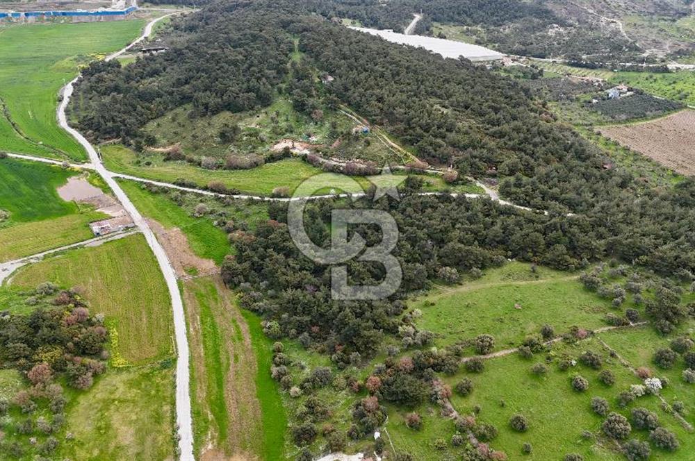 FOÇA YENİKÖY'DE DOĞA İLE İÇ İÇE SATILIK TARLA