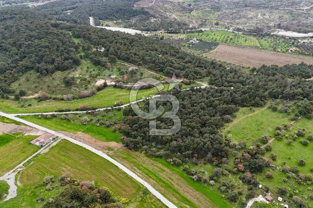 FOÇA YENİKÖY'DE DOĞA İLE İÇ İÇE SATILIK TARLA