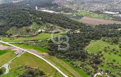 FOÇA YENİKÖY'DE DOĞA İLE İÇ İÇE SATILIK TARLA